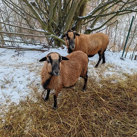 U Vitalky Дом отдыха